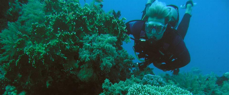 Discover Scuba Diver PADI